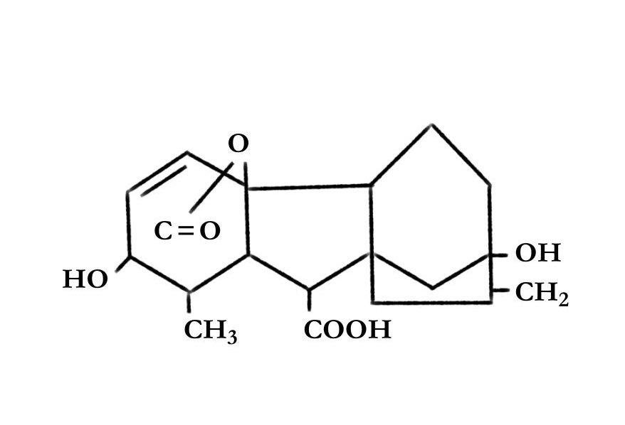 জিব্বেরেলিক অ্যাসিড Gibberellic acid