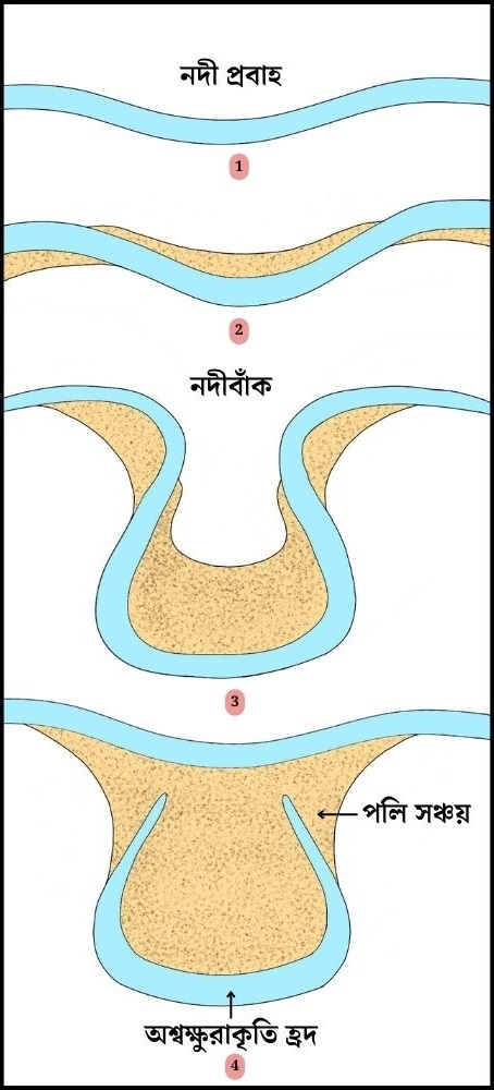 অশ্বক্ষুরাকৃতি হ্রদ চিত্র - নদীর সঞ্চয় কার্যের ফলে সৃষ্ট ভূমিরূপ