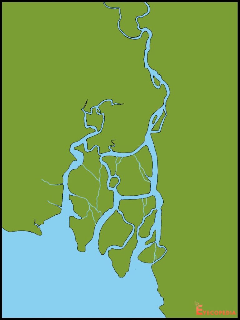 খাঁড়ীয় বদ্বীপ কাকে বলে - Estuary Delta