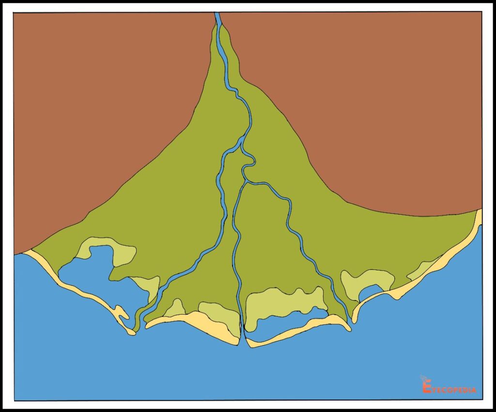 ধনুকাকৃতি ব-দ্বীপ কাকে বলে - Arcuate Delta