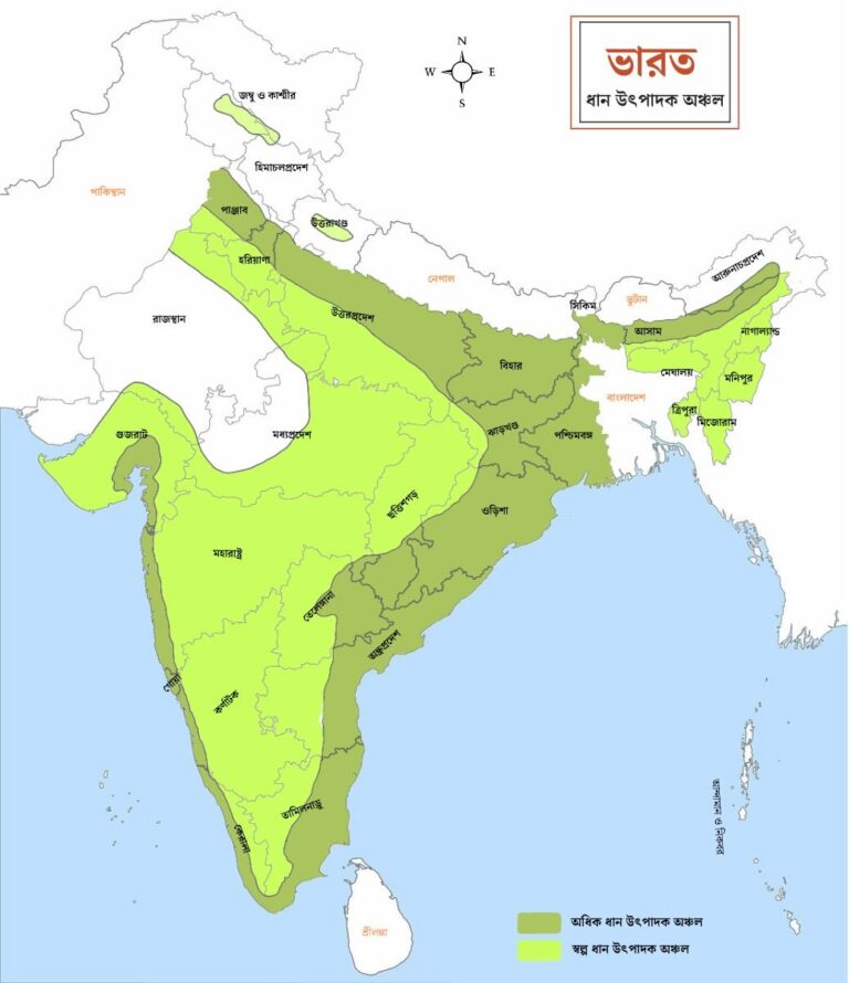 ভারতের প্রধান প্রধান ধান উৎপাদক অঞ্চল সমূহ ম্যাপ