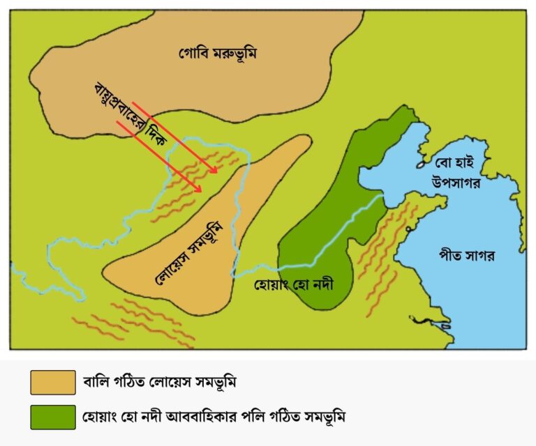 লোয়েস সমভূমি কাকে বলে Loess Plains