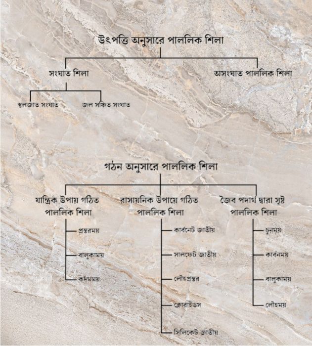 পাললিক শিলা কাকে বলে - বৈশিষ্ট্য - শ্রেণীবিভাগ - What are Sedimentary Rocks - Characteristics - Classification