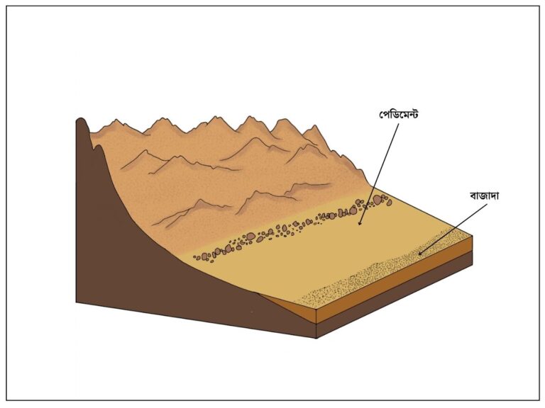 পেডিমেন্ট pediment কাকে বলে