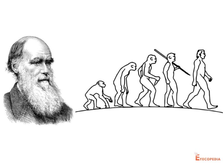 জৈব অভিব্যক্তি সম্পর্কিত ডারউইনের মতবাদ - darwin's theory of evolution