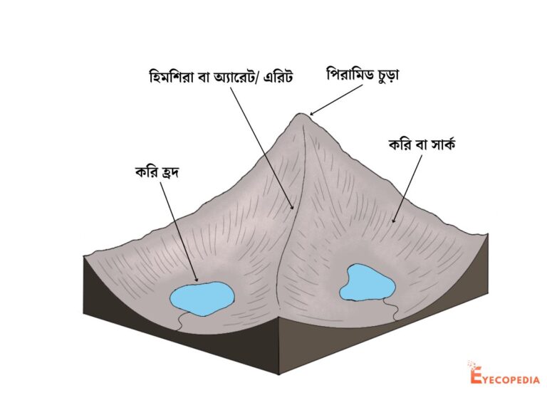 হিমশিরা বা অ্যারেট/ এরিট কাকে বলে । চিত্র