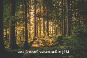 জয়েন্ট ফরেস্ট ম্যানেজমেন্ট বা JFM