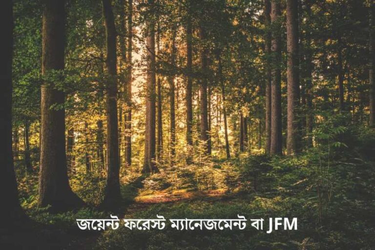 জয়েন্ট ফরেস্ট ম্যানেজমেন্ট বা JFM