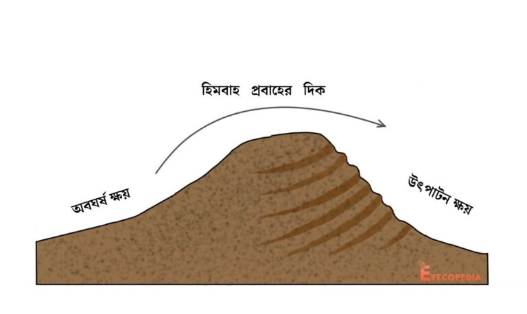 রসে মোতানে কাকে বলে