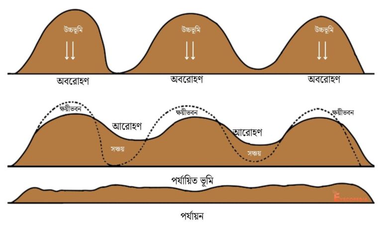 পর্যায়ন প্রক্রিয়া - চিত্র