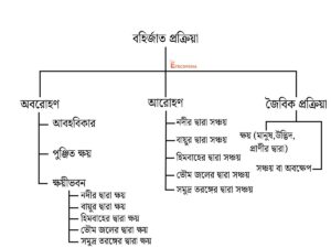 বহির্জাত প্রক্রিয়া কাকে বলে ও বৈশিষ্ট্য