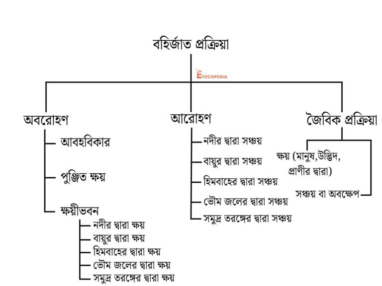 বহির্জাত প্রক্রিয়া কাকে বলে ও বৈশিষ্ট্য