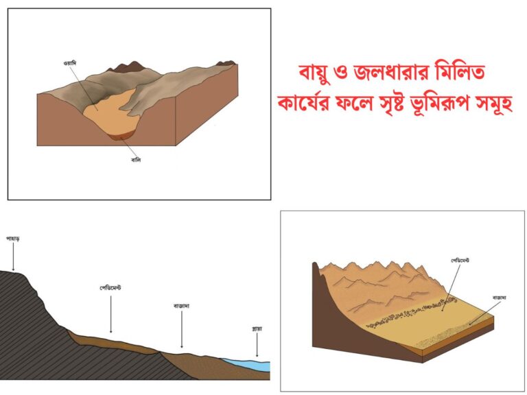 বায়ু ও জলধারার মিলিত কার্যের ফলে সৃষ্ট ভূমিরূপ সমূহ - বাজাদা - পেডিমেন্ট - ওয়াদি - প্লায়া